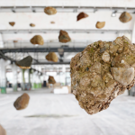 Illustration of rocks inside of a warehouse