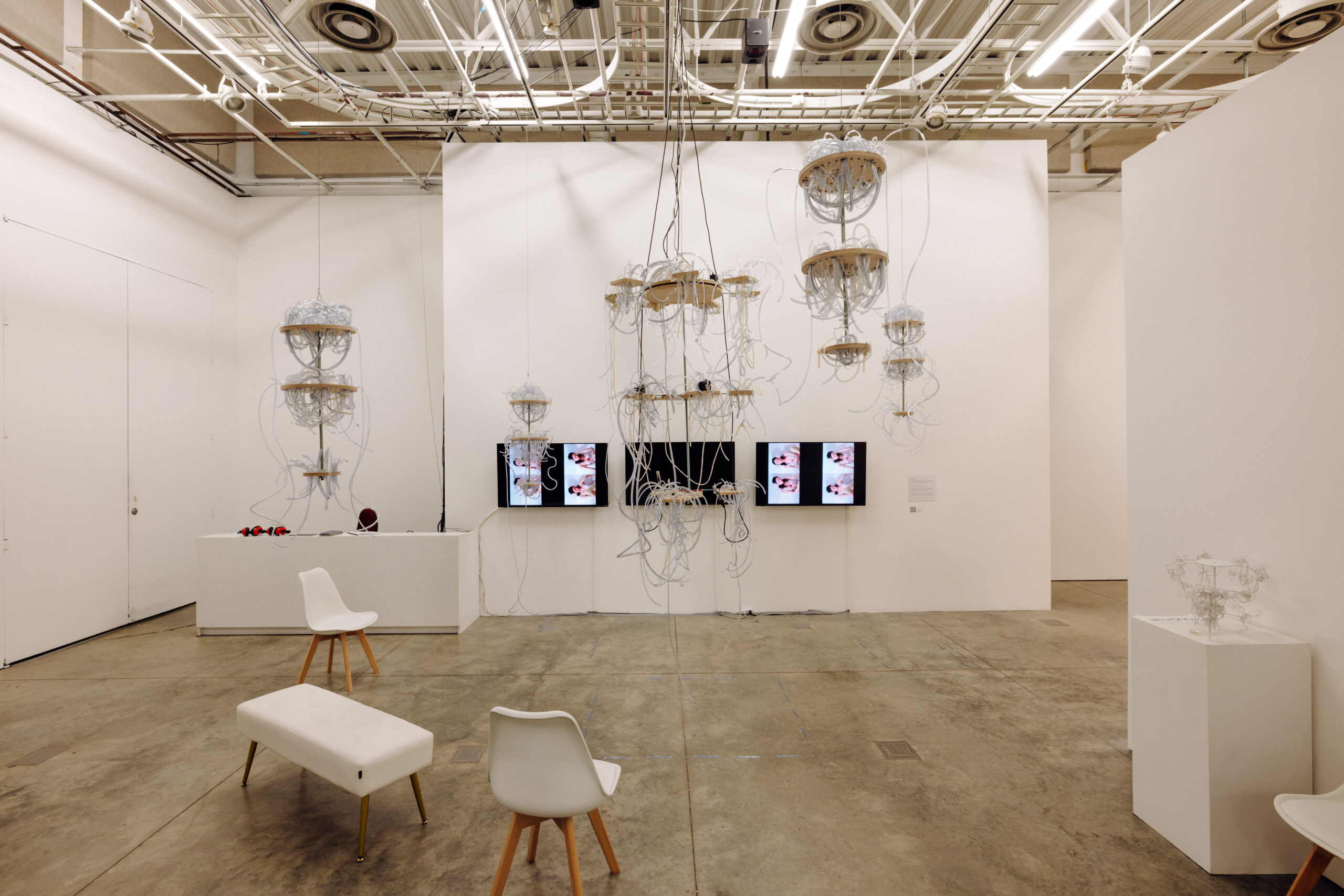 Five sculptures with wooden frames threaded with masses of plastic tubes spill out into the room, hanging from a ceiling grid framed by white gallery walls and white furniture. Three screens are mounted on the back wall, the center one is black, while the two on the sides display Cellular Corpses by thai Lu. In the right corner, two small 3D printed models of the sculptures live on a white pedestal stand. 